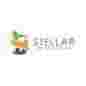 Stellar Human Resource Solutions